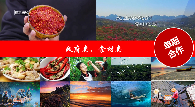 政府類、食材類案例