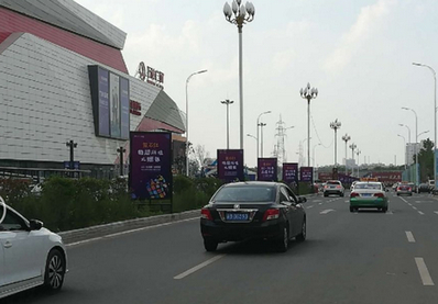 吉林大街昌邑萬達(dá)廣場門前綠化帶內(nèi)道旗 吉林大街昌邑萬達(dá)廣場門前綠化帶內(nèi)道旗