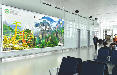 溫州機(jī)場出發(fā)安檢后左右指廊燈箱廣告 溫州機(jī)場出發(fā)安檢后左右指廊燈箱廣告